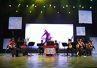 Shanghai, Hong Kong and Macau Interflow Camp: Chinese music performance by CUHK students